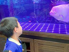 羊杂汤-老三羊汤【北兴隆街店】