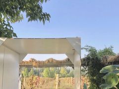 -安德鲁户外烧烤帐篷营地(马泉营店)