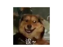 -南京大学-第9食堂