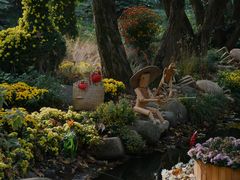 -上海共青森林公园