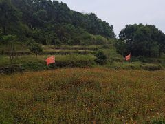 -仙岛湖旅游风景区
