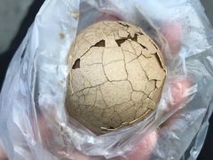-金盆阿嬷香菇茶叶蛋(玄光店)