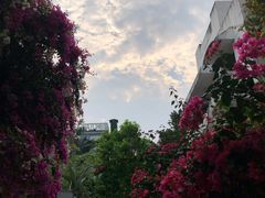 -默迹咖啡馆