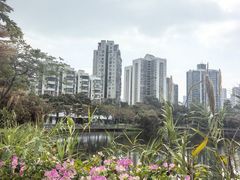 -四海公园(南山区)