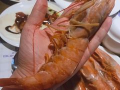 -青岛蓝海御华大饭店（金沙滩店）·蓝钻国际美食自助百汇