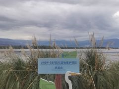 -西昌邛海湿地