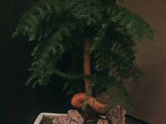 -大拙里·精致融合菜(沙湖桃源国际店)