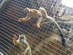 -成都浩海立方海洋公园