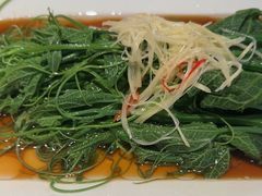 -杨氏青龙虾·吃蟹季(金盛路总店)