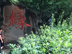 -杭州黄龙洞