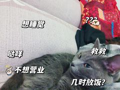 -贵府酸汤牛肉火锅·贵州老字号(飞山街店)