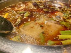 红汤锅-肖肖酸萝卜鱼火锅(总店)