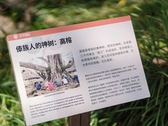 -中国科学院西双版纳热带植物园