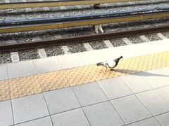 -宪法广场
