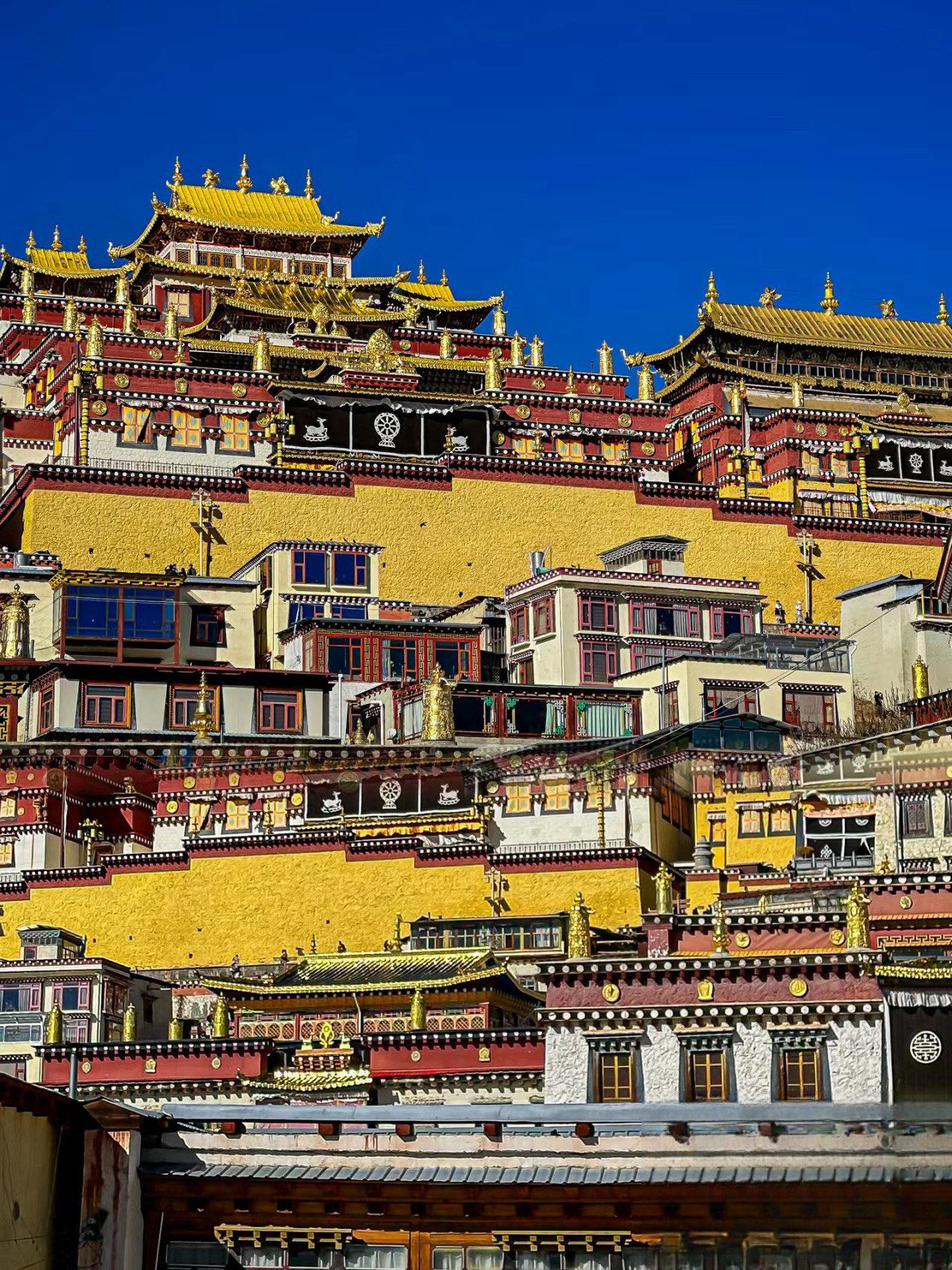 维西塔城,滇金丝猴国家公园,南极洛徒步,梅里雪山一次满足你