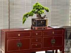 -南乡·精功顺德菜(卓悦中心店)