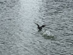 -杭州城北体育公园