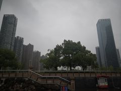 -天鹅湖体育公园