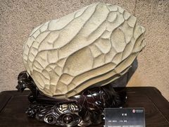 -中华赏石园