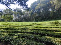 -敬亭山风景名胜区