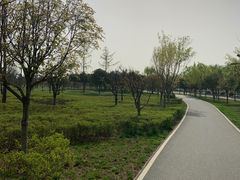 -洨河生态公园