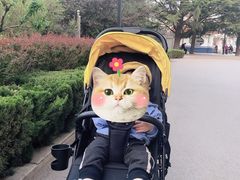 -莱西月湖公园