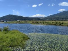 -腾冲北海湿地