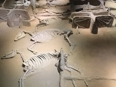 -洛阳周王城天子驾六博物馆