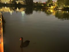 -南通濠河风景名胜区