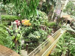 -正佳雨林生态植物园