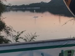 -沈阳鸟岛