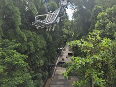-圣淘沙天际线斜坡滑车