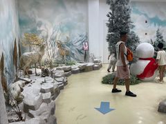 -西霞口神雕山野生动物世界