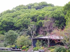 -云溪植物园