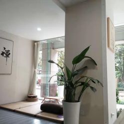 -榕树上·瑜伽普拉提