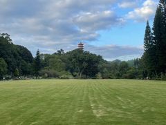-深圳仙湖植物园