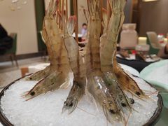 深水虾-帝皇海海鲜豆捞(桐泾商务广场店)