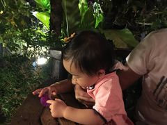 -Dash Teak House