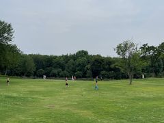 -盘龙城国家考古遗址公园