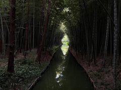 -同里国家湿地公园