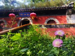 -潭柘寺景区
