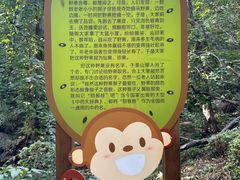 -大岭沟猕猴桃谷风景区