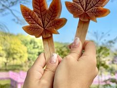 -田野绿世界