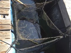 -海上驿站渔家菜馆