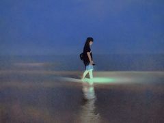 -奉贤海滩