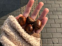 -秋栗香(地安门店)