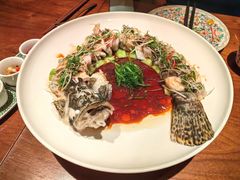 豉油皇鲜花椒蒸桂鱼-觅唐MITONG(鸟巢店)