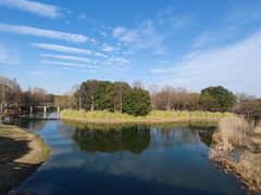 -贡湖湾湿地公园