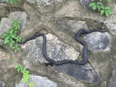 -五女山景区