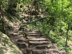 -南山植物园